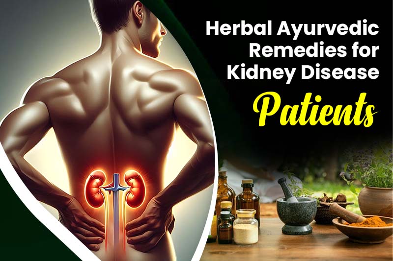 Herbal Ayurvedic Remedies for Kidney Disease Patients